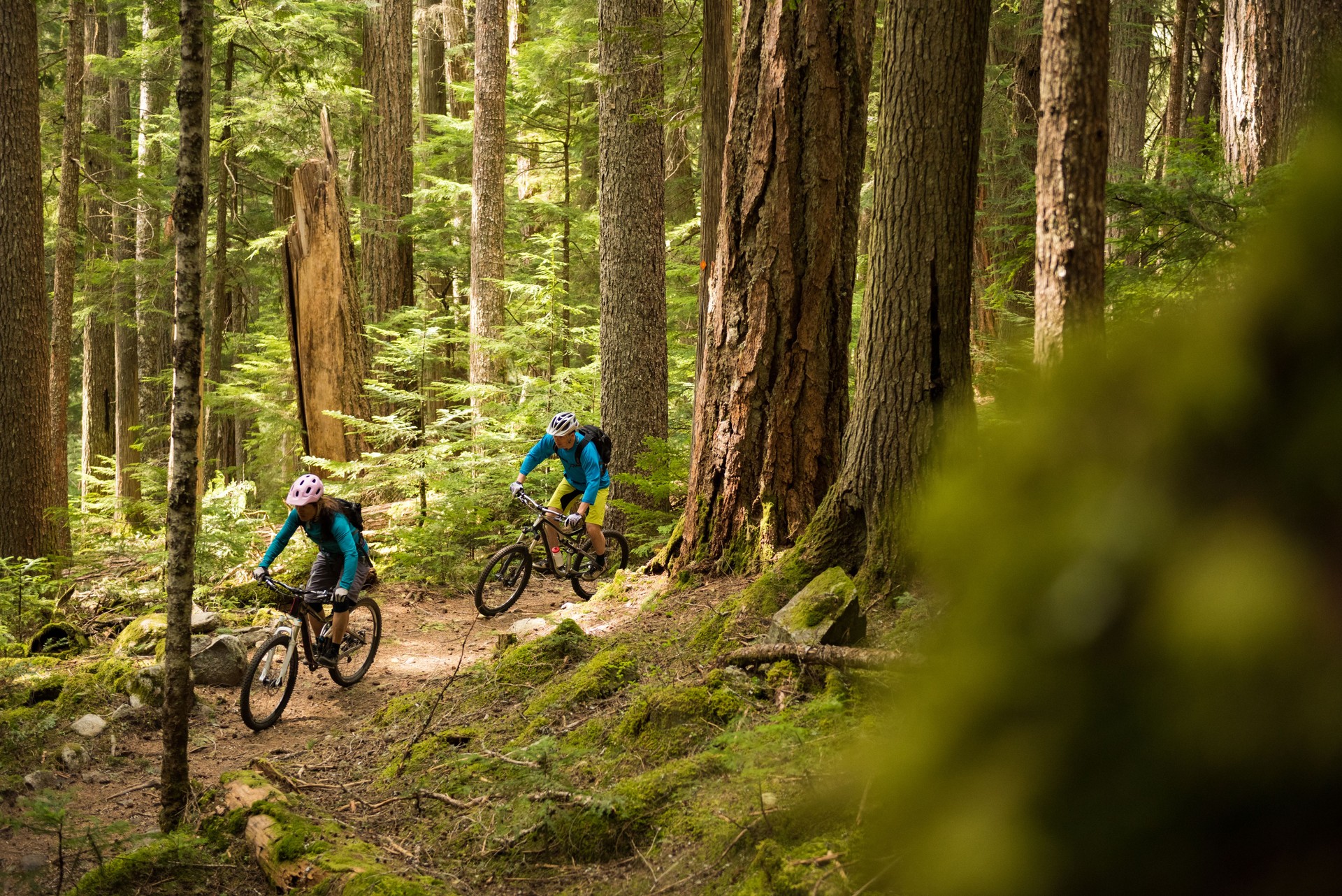Couple biking in an old growth forest